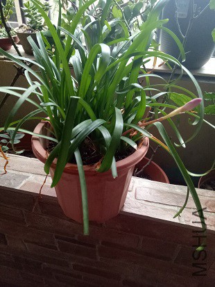 ���컹ʣһ����