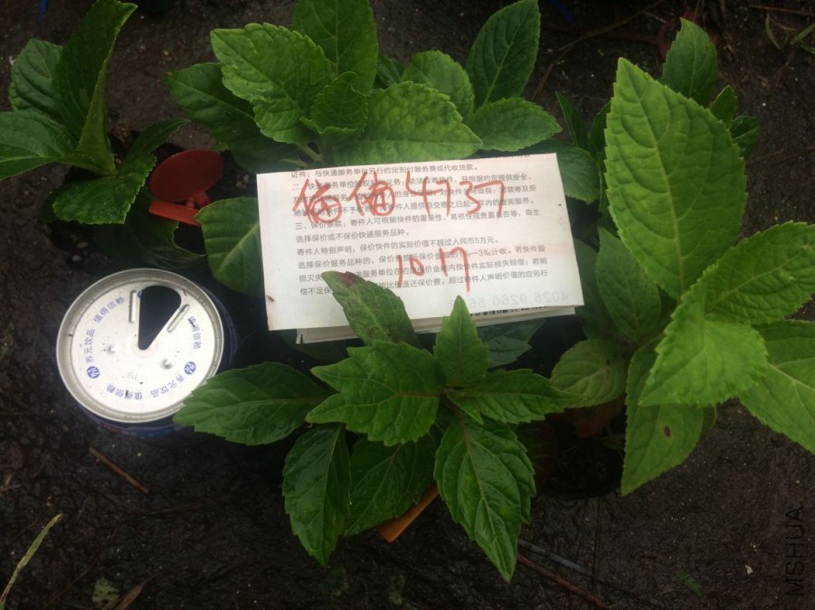 QQͼƬ20171017085440.jpg