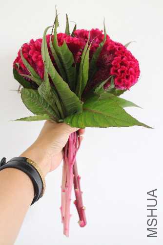 E90DAE9F-7C6D-4CDC-872A-40307E5647C8.jpeg