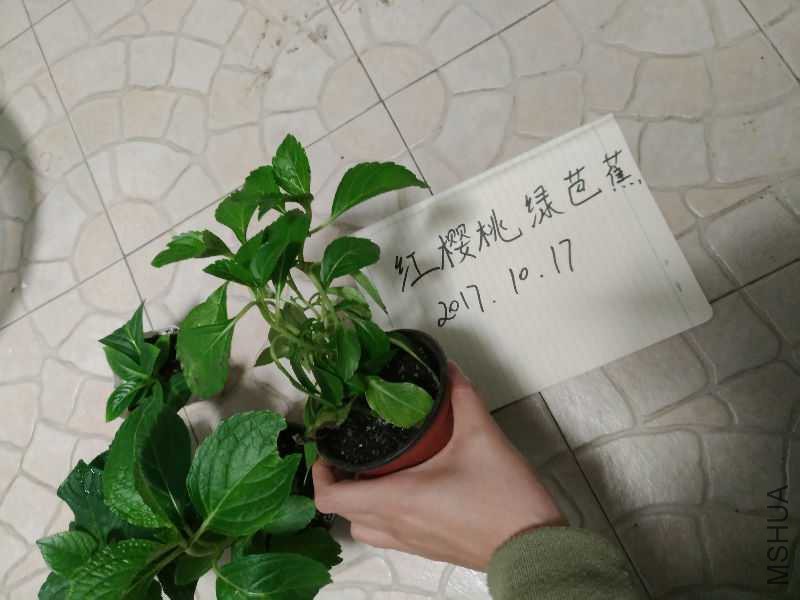 3487153