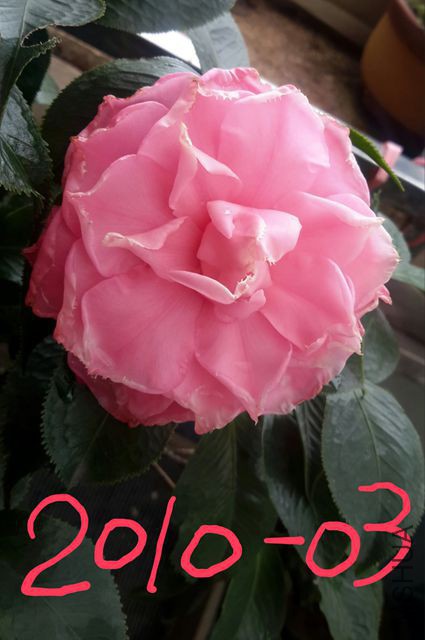 2017-10-17 15.04.10_����.jpg