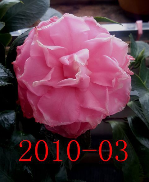20171017_130607_����.jpg