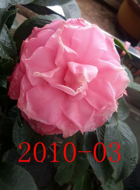 20171017_130616_����.jpg