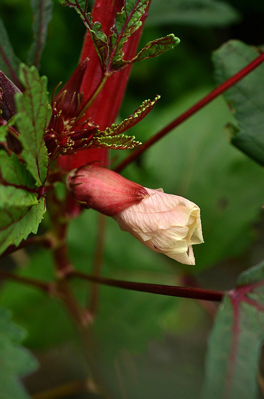 �����ƿ��Ȼƿ� (1).JPG