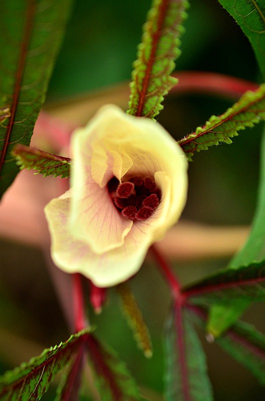 �����ƿ��Ȼƿ� (2).JPG