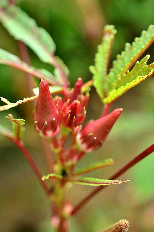 �����ƿ��Ȼƿ� (4).JPG