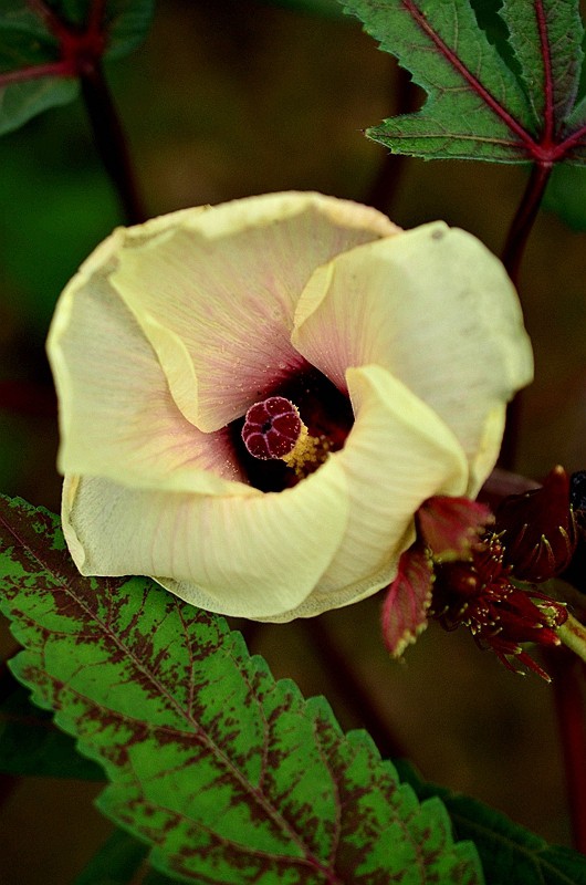 �����ƿ��Ȼƿ� (5).JPG