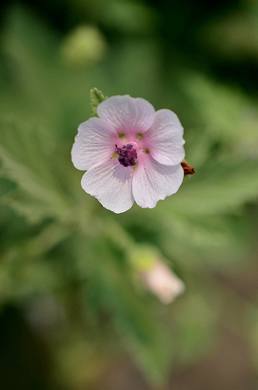 ������ҩ��� (2).JPG