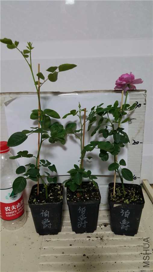 20171017_233750.jpg