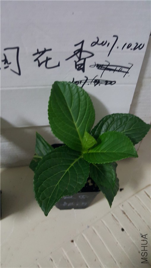 ����85