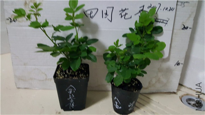 20171019_195236.jpg