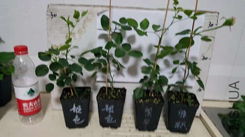20171017_233613.jpg