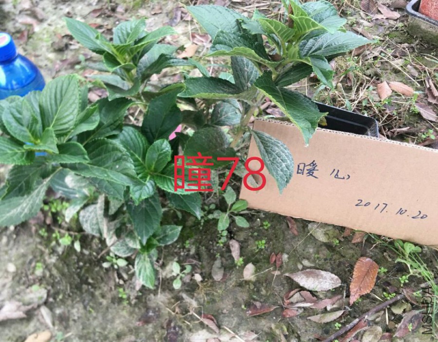 5A833ACB727CC3D009FDF0860E5E13D3.jpg