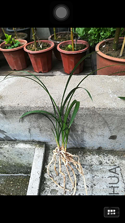 1508300040_IMG_3683.jpg