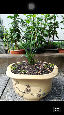 1508300032_IMG_3681.jpg