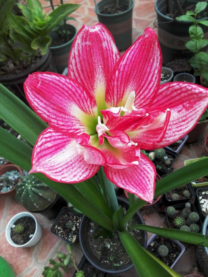 ΢��ͼƬ_20171021170840.jpg