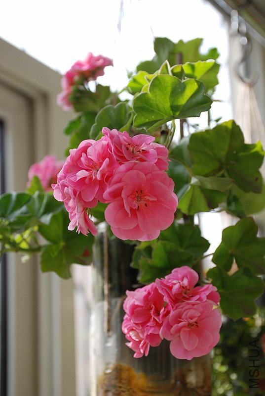 DSC_0409_����.jpg