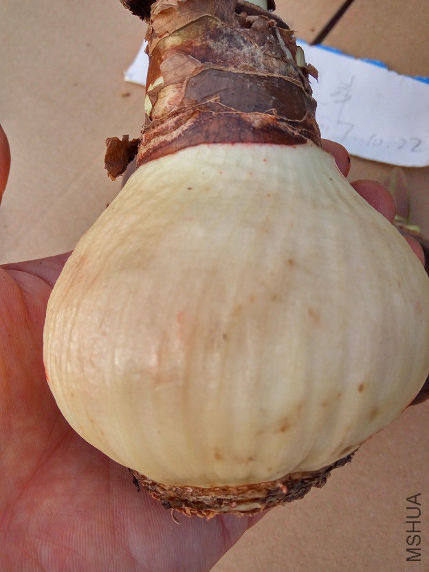 ħ����11.jpg