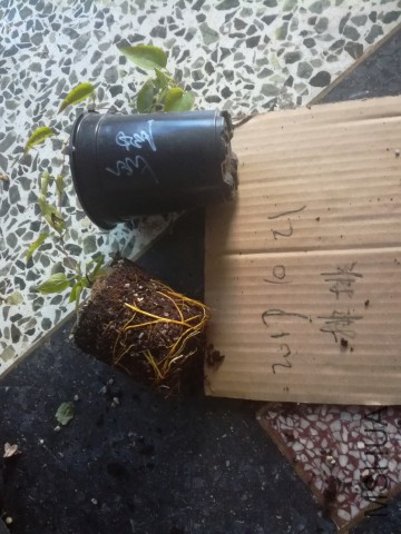 ���������_���������_IMG_20171021_164822 - ����.jpg