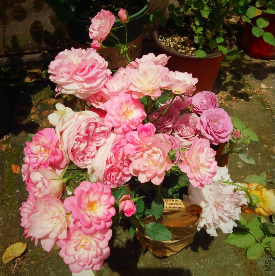 QQ��ͼ20171022184004.jpg