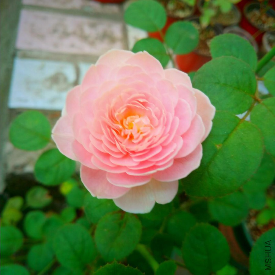 QQ��ͼ20171022184044.jpg
