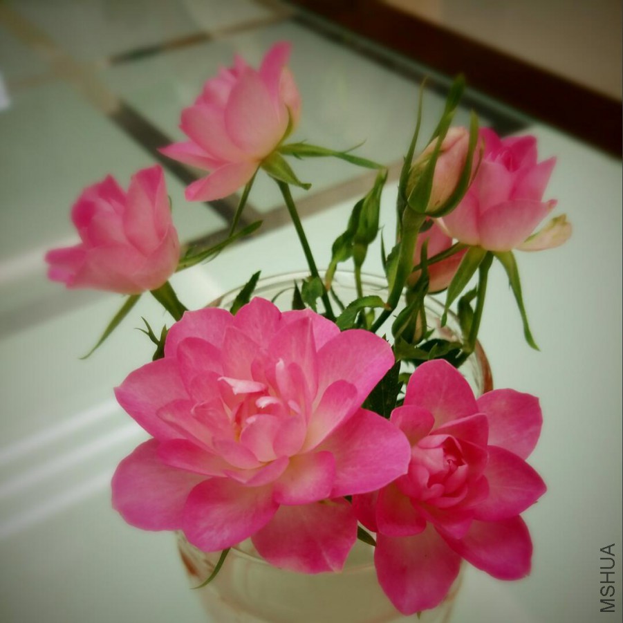 QQ��ͼ20171022184111.jpg