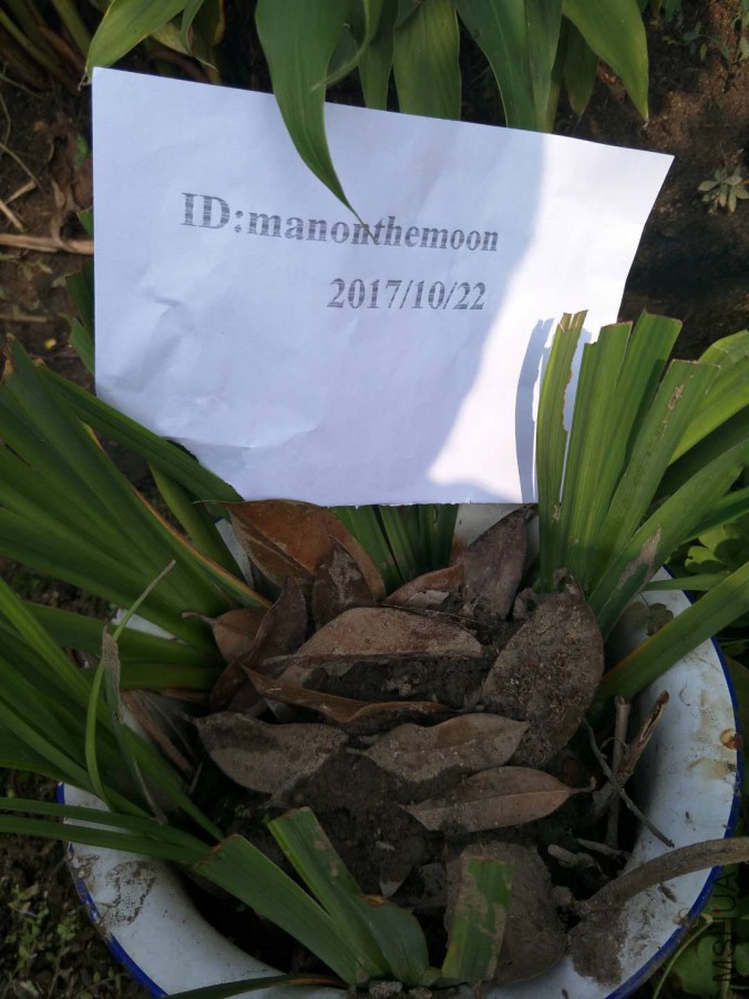 webwxgetmsgimg (14).jpg