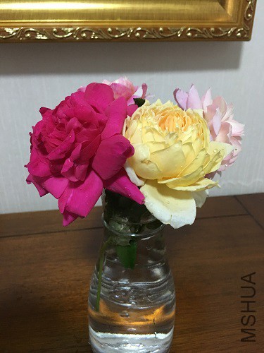 IMG_2251.JPG