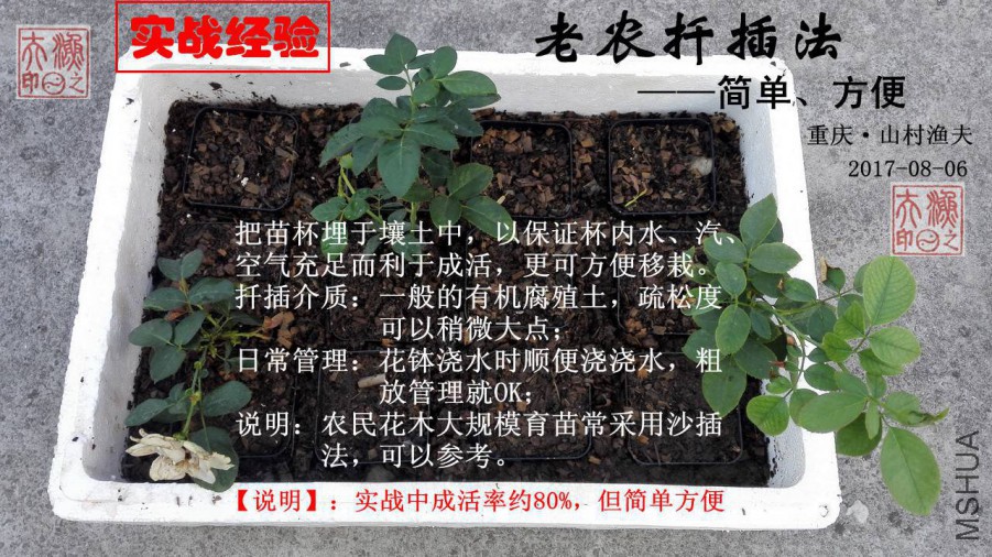 ��ũǤ�巨.jpg