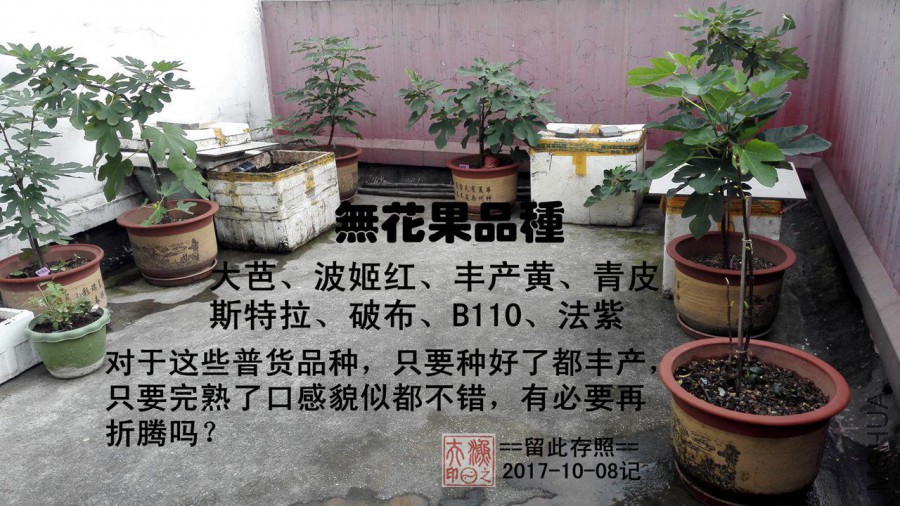 �۵��޻���Ʒ��.jpg