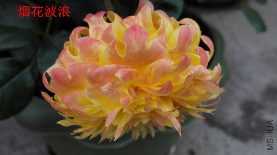A01.jpg
