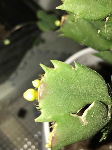 09D9E2E3-0508-4460-BA26-7114E9F76855.jpeg