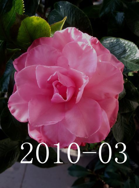 20171025_081200_����.jpg