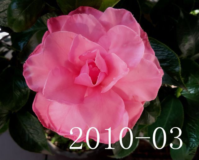 20171025_081224_����.jpg