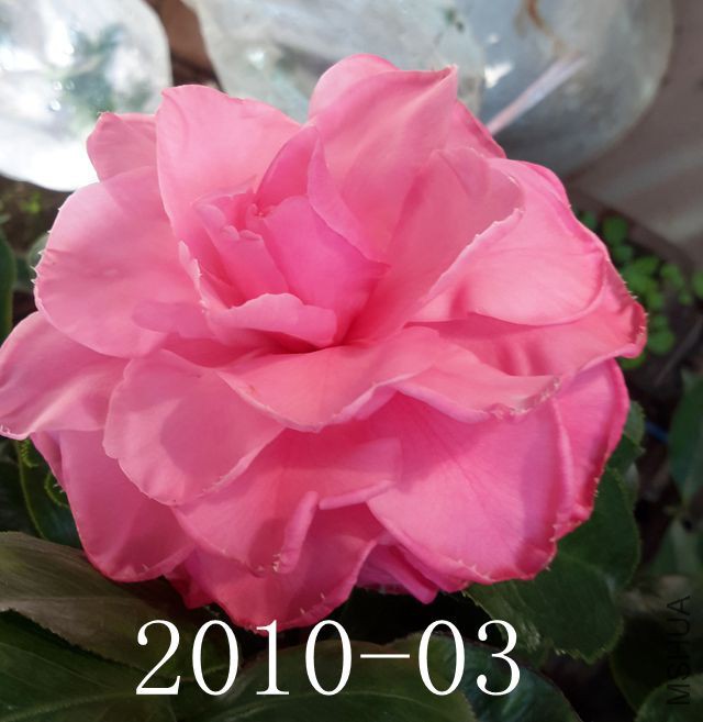 20171025_081238_����.jpg