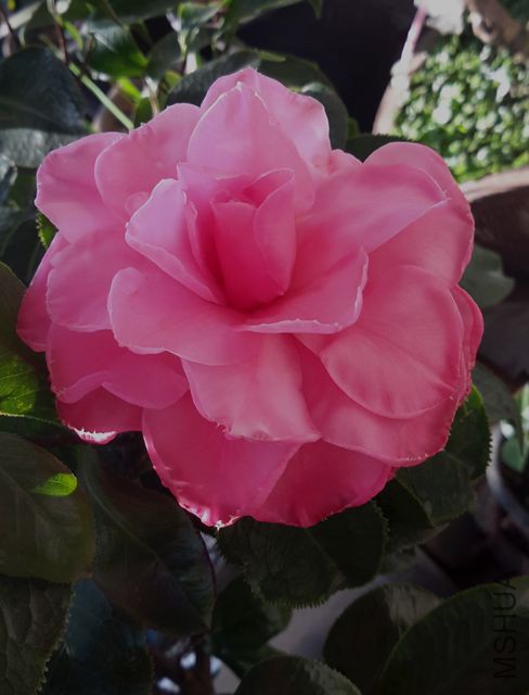 20171025_081323_����.jpg
