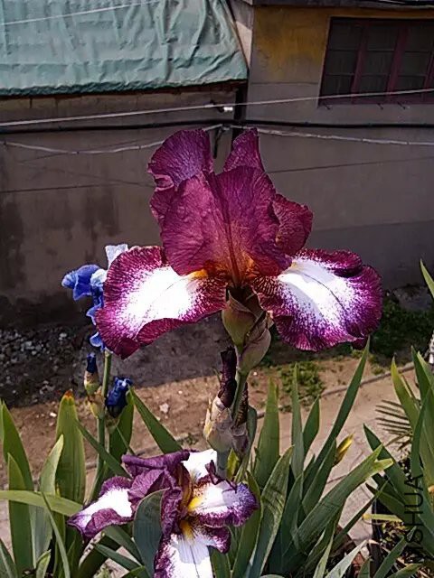 125348fkb0o0r7c73oash8.jpg