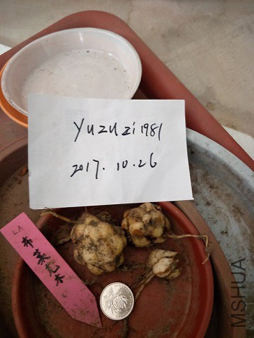 1-2�ٺ�-�����˱�.jpg