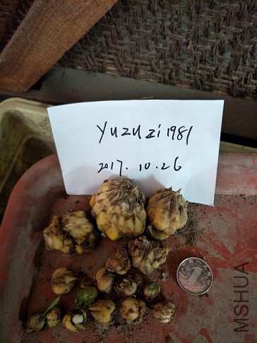 1-3�ٺ�-���ڰٺ�.jpg