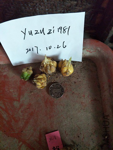 1-5�ٺ�-��ͨ��ɫ.jpg
