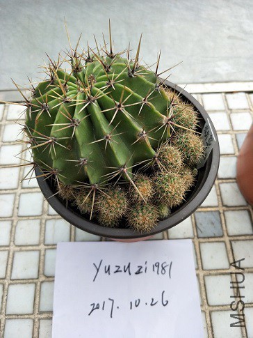 5-5�۲ݣ�����.jpg