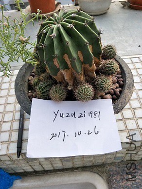 5-6�ײ�.jpg