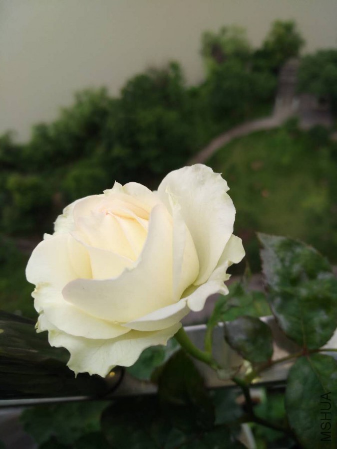 ΢��ͼƬ_20170703083535.jpg