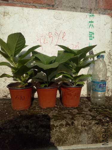 IMG20171027153830.jpg