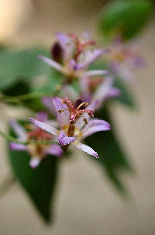 �ٺϿ�TW�͵�� (2).JPG