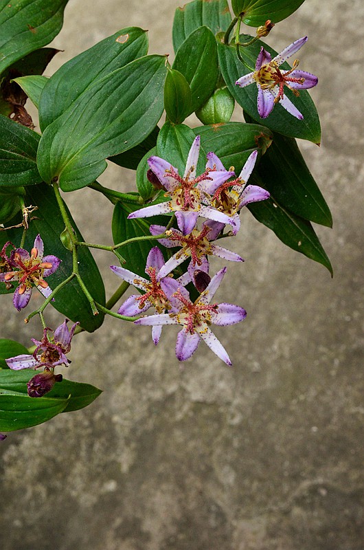 �ٺϿ�TW�͵�� (3).JPG