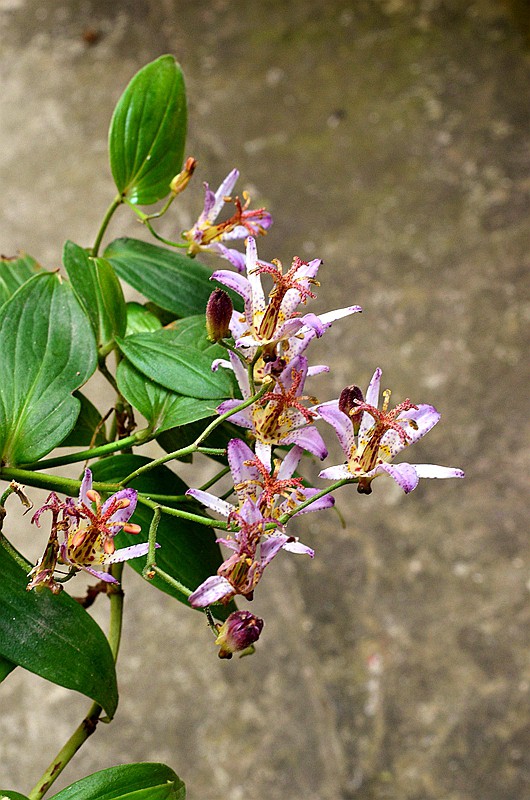 �ٺϿ�TW�͵�� (4).JPG