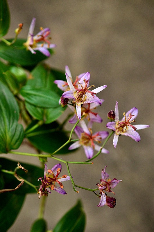 �ٺϿ�TW�͵�� (5).JPG