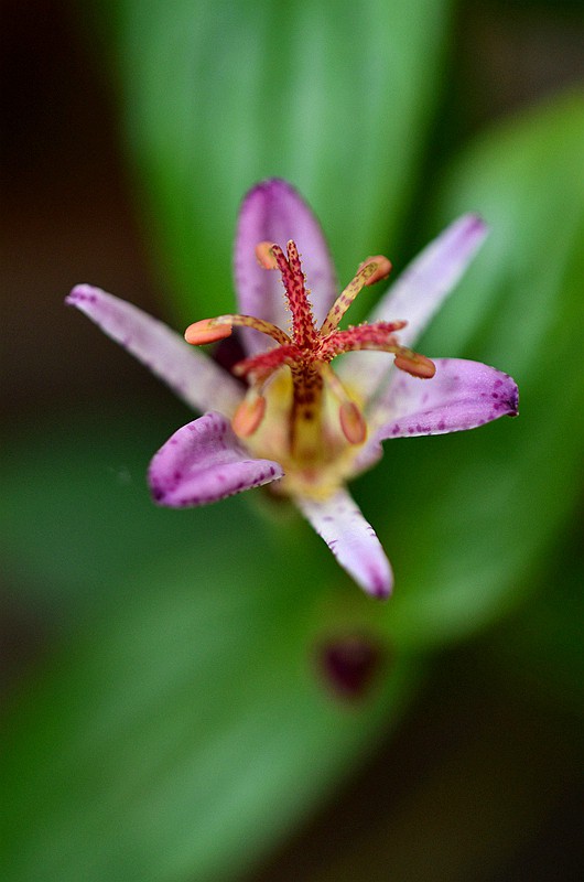 �ٺϿ�TW�͵�� (7).JPG