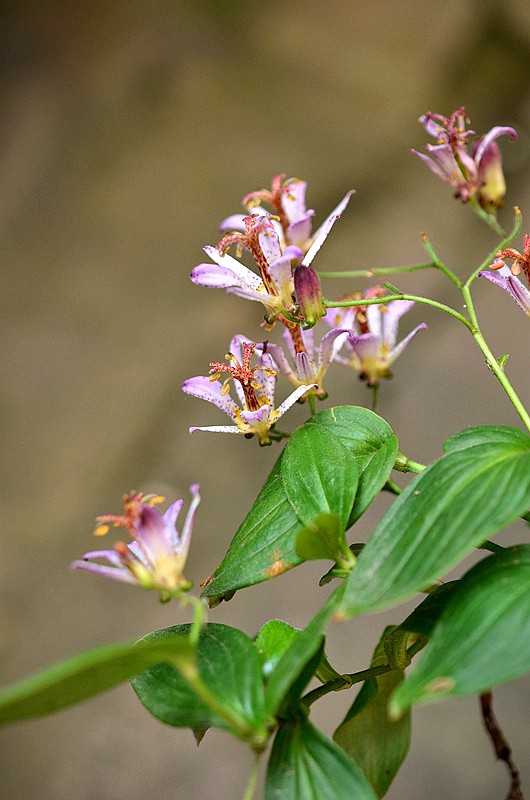 �ٺϿ�TW�͵�� (6).JPG